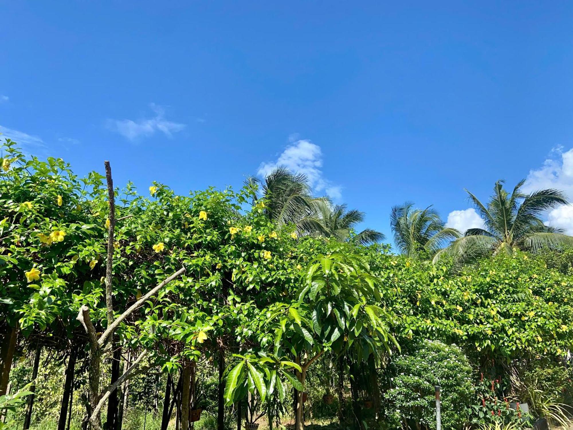 Y Nghia Bungalow Ong Lang Phu Quoc Exterior foto