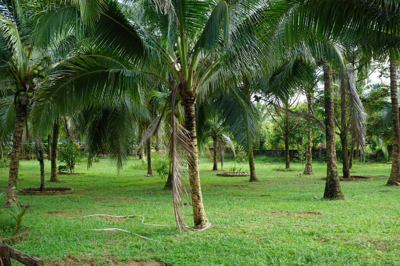 Y Nghia Bungalow Ong Lang Phu Quoc Exterior foto